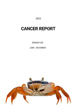 Load image into Gallery viewer, 6 MONTH REPORT
